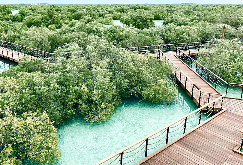 Mangrove National Park