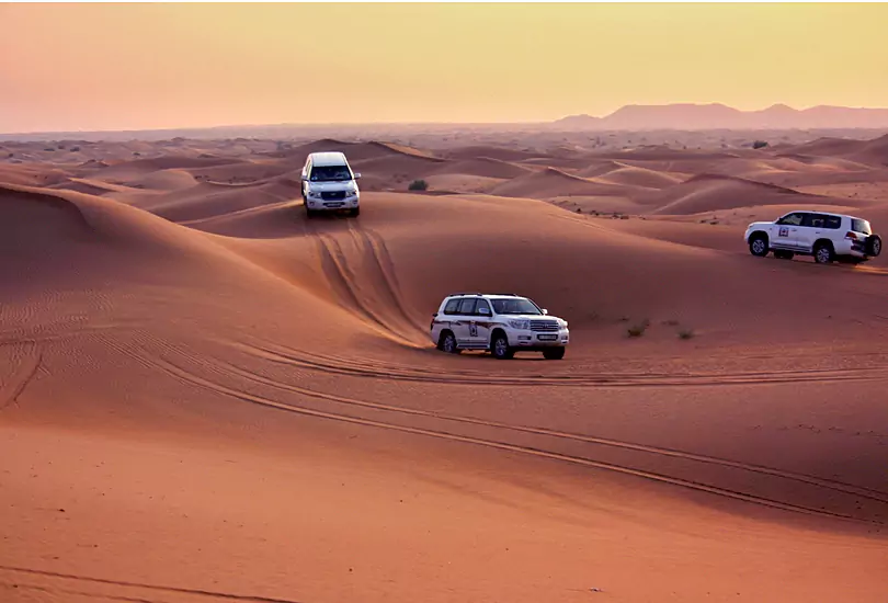 Desert Safari