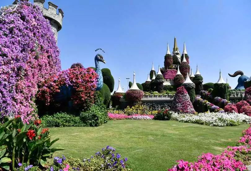 Dubai Miracle Garden