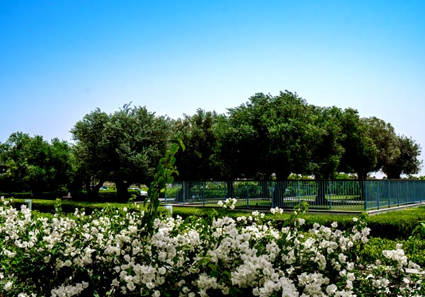 Al Zorah Nature Reserve, Ajman