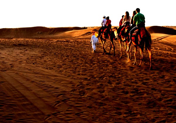 Desert Safari, Dubai