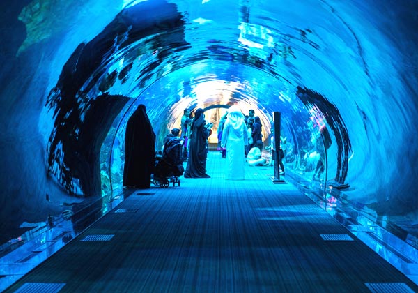 Dubai Aquarium and underwater zoo 