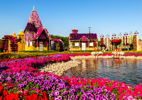 Dubai Miracle Garden 