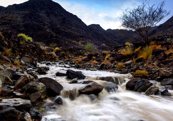 Wadi Shawka, Ras Al-Khaimah